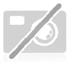 FSE 31